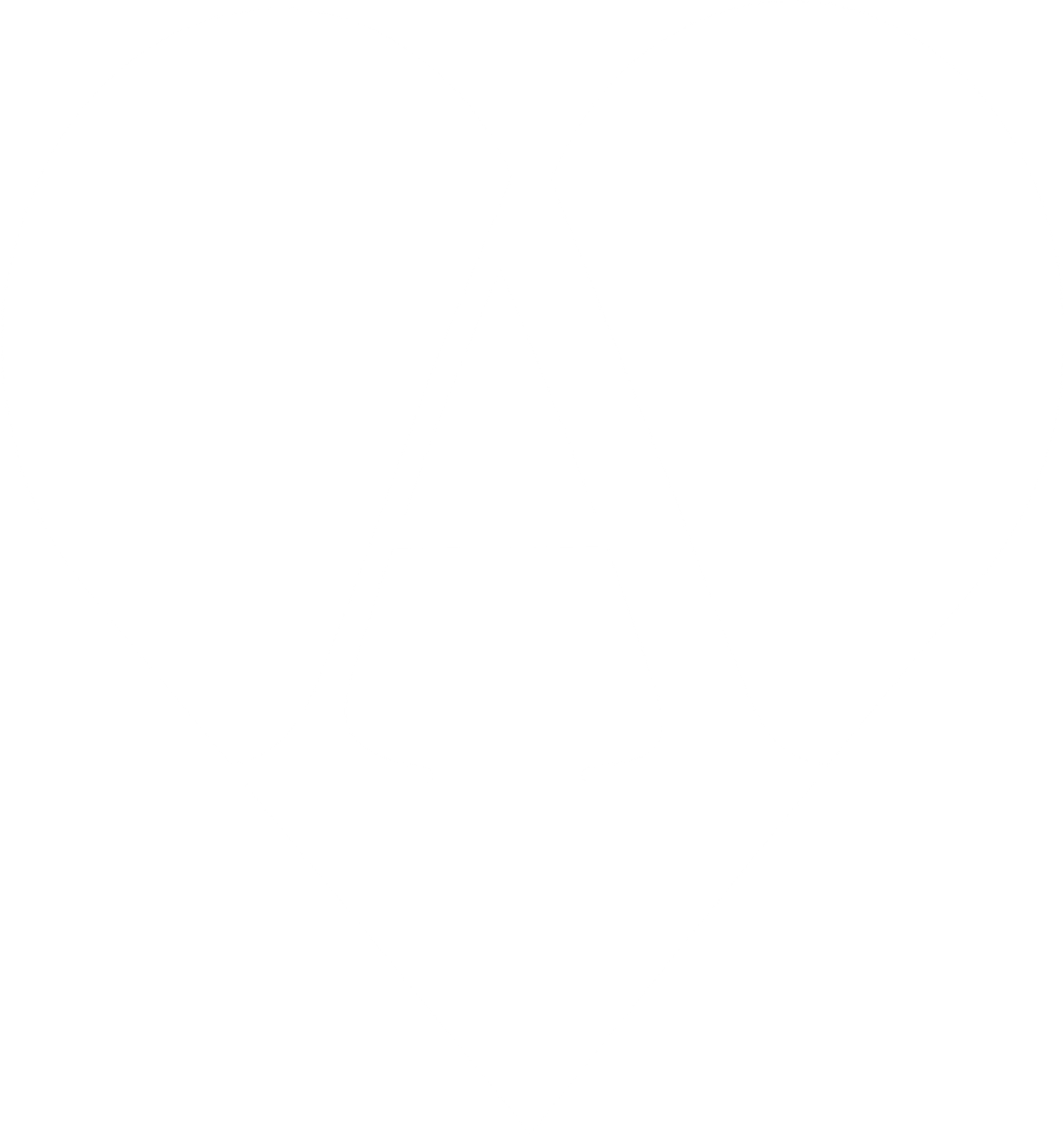 Amici